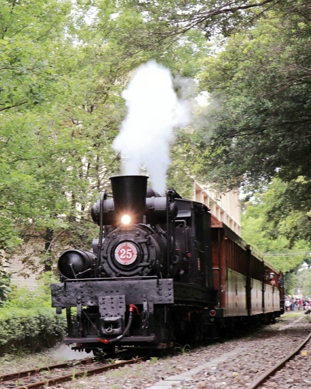 國寶級蒸汽火車能夠親眼看到行駛在阿里山鐵路上真的是太震撼了！就像從魔法世界穿越過來一樣-⠀⠀⠀⠀⠀⠀⠀⠀⠀⠀⠀感謝 @sunny_...