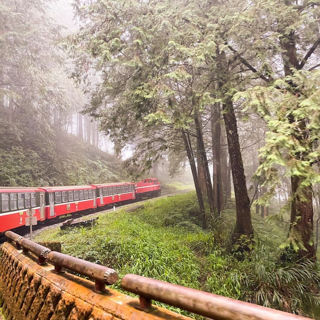 穿梭在森林裡紅色列車好可愛呀！（照片授權感謝 @spackkke ）-⠀歡迎在您的貼文 #travelalishan 或 @tra...