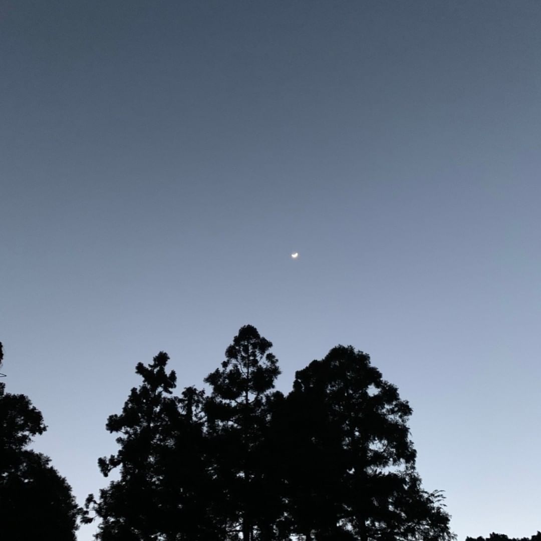 奮起湖一隅明天小編要早起出發去奮起湖大家晚安囉想到明天可以親眼看到大胃王進食就好期待~~~看別人吃得津津有味，食物看起來更好吃-#...