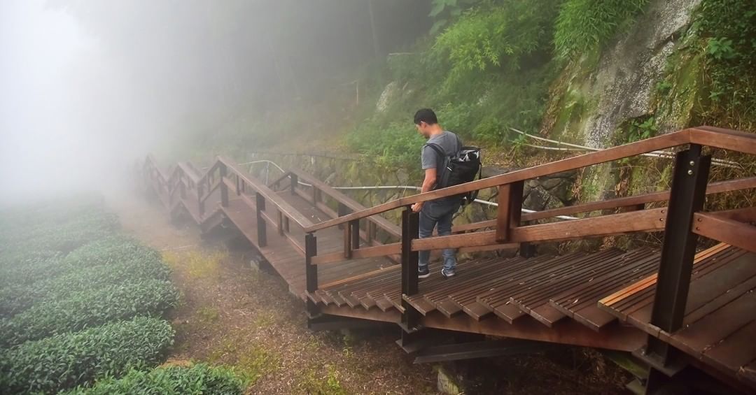 石棹步道群-櫻之道走往迷霧中 熱門的賞櫻據點，沒櫻花也很漂亮  -⠀⠀⠀⠀⠀⠀⠀⠀⠀⠀⠀⠀ #travelalishan 或 @t...