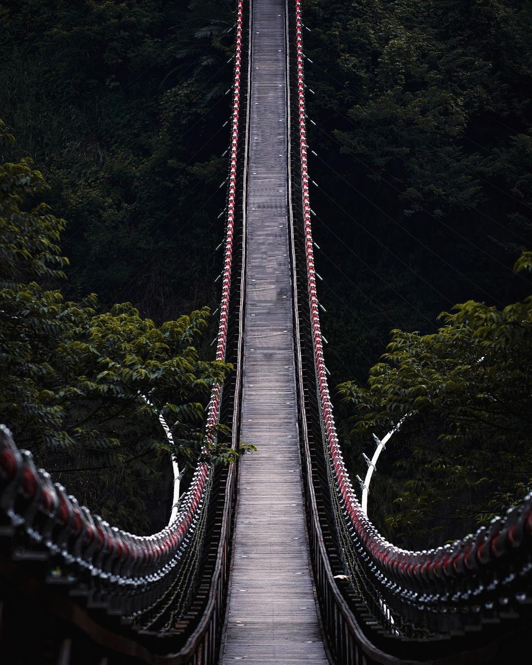 部落一隅，最優美的曲線，福美懸浮吊橋。（感謝 @su_jpg 分享美照）-⠀歡迎在您的貼文 #travelalishan 或 @t...