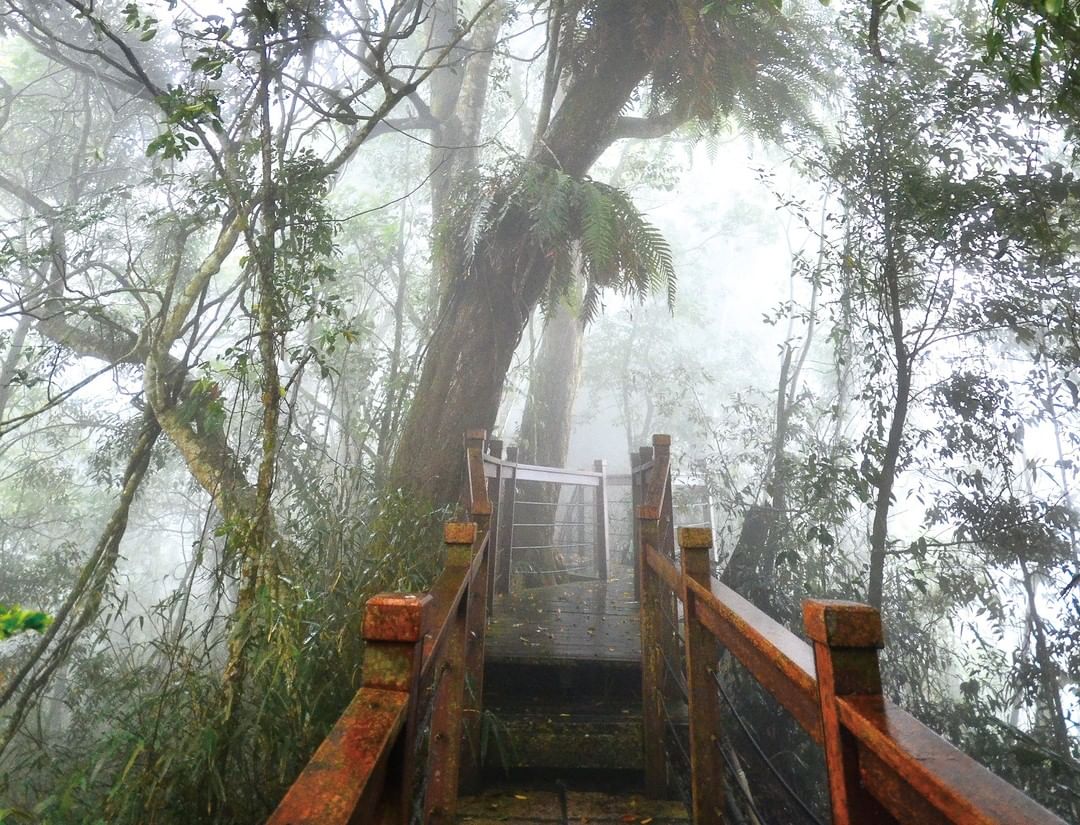 太興岩不為人知的一面 ‍♂起大霧很迷人 -⠀⠀⠀⠀⠀⠀⠀⠀⠀⠀⠀⠀ #travelalishan 或 @travelalishan...