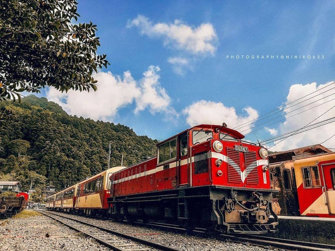 奮起湖、小火車 去阿里山誰不認識 ⁉-⠀⠀⠀⠀⠀⠀⠀⠀⠀⠀⠀感謝 @niniko623 分享的美照-⠀⠀⠀⠀⠀⠀⠀⠀⠀⠀⠀⠀ #t...