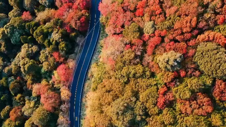 我這邊大雨，你那邊呢？天氣涼涼的想看一下冬天的景色~照片授權感謝 @katherine_ching0515 -⠀歡迎在您的貼文 #...