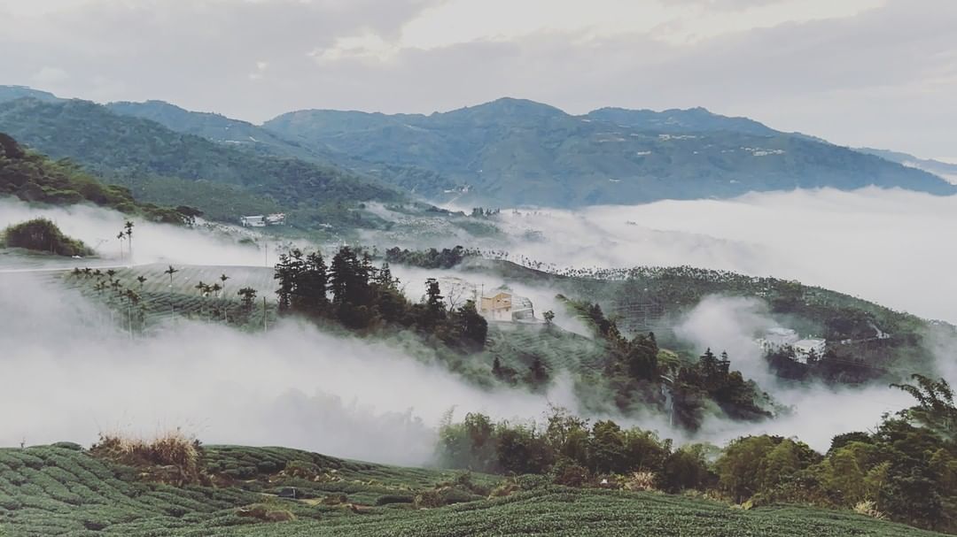 如癡如醉。照片授權感謝 @sanada-⠀歡迎在您的貼文 #travelalishan 或 @travelalishan曬曬阿里山...