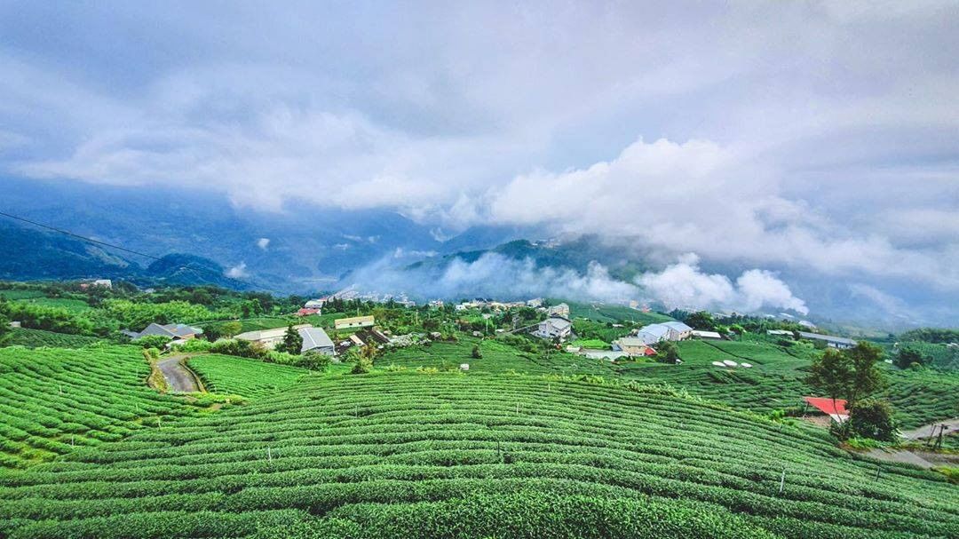 大雨後，雲海降臨在頂石棹茶園上雲霧、農家、鮮綠茶園交織成最美的一幅畫☁-⠀⠀⠀⠀⠀⠀⠀⠀⠀⠀⠀感謝 @hc.photography...
