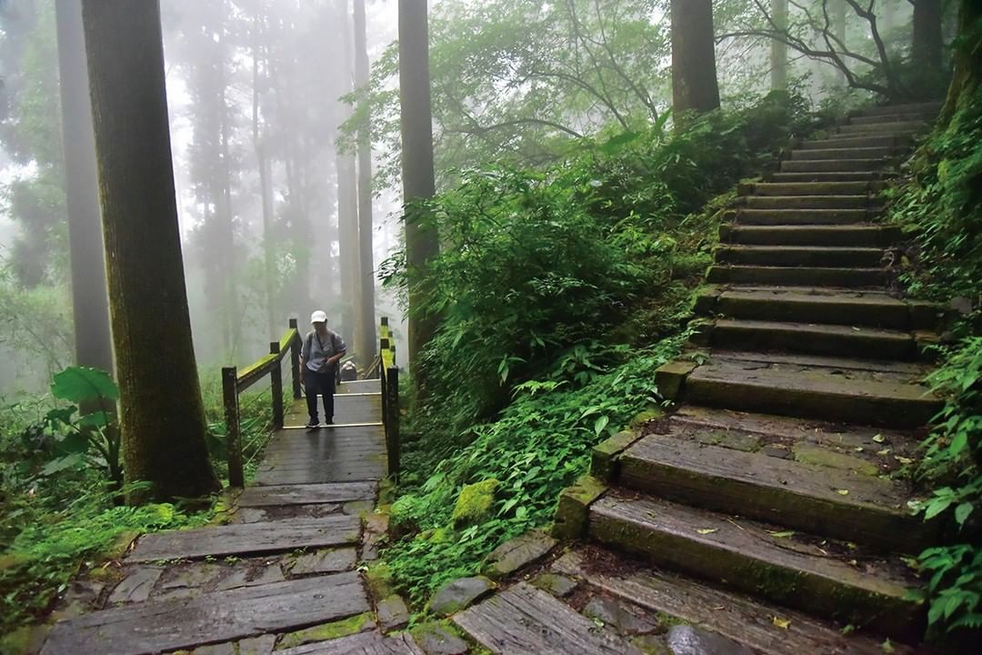 雲之道，石棹步道群 ☁那個雲~那個霧阿~ ☁ -⠀⠀⠀⠀⠀⠀⠀⠀⠀⠀⠀⠀ #travelalishan 或 @travelalis...