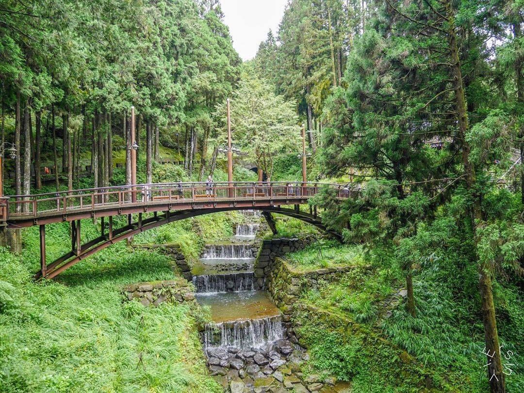 炎炎夏日來阿里山消暑漫步聽蟬鳴，吸收森林芬多精 -⠀⠀⠀⠀⠀⠀⠀⠀⠀⠀⠀感謝 @travelwithyiersin  分享的美照-...