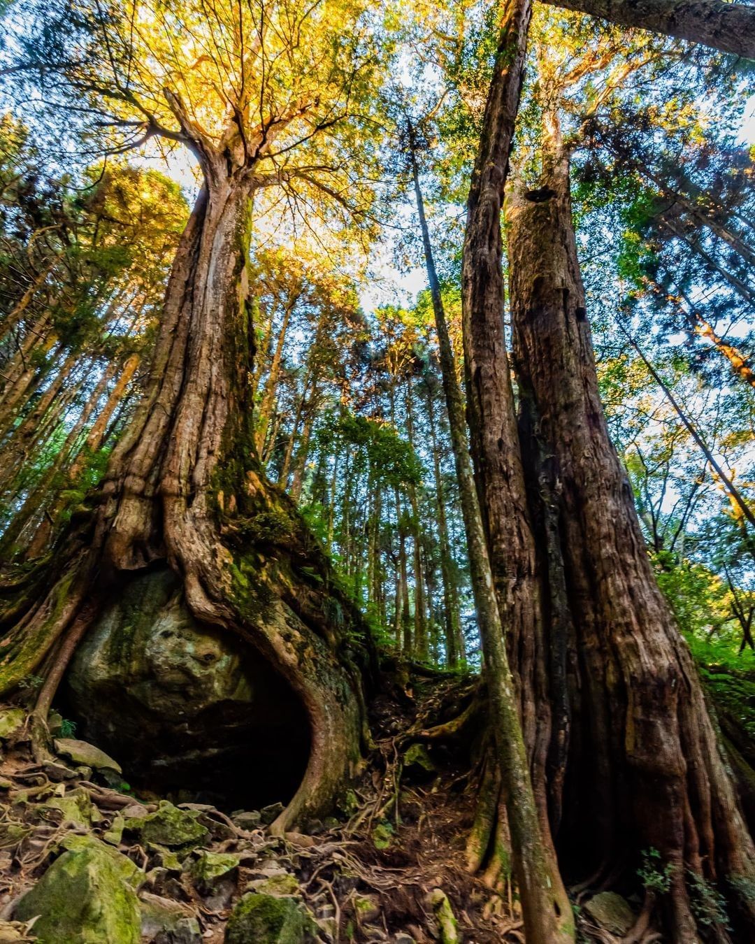 二萬平景點之一，你會給什麼形容詞呢？有壯觀、有浪漫、嘆為觀止（感謝  @mr._shen.11.11 分享美照）-⠀歡迎在您的貼文...