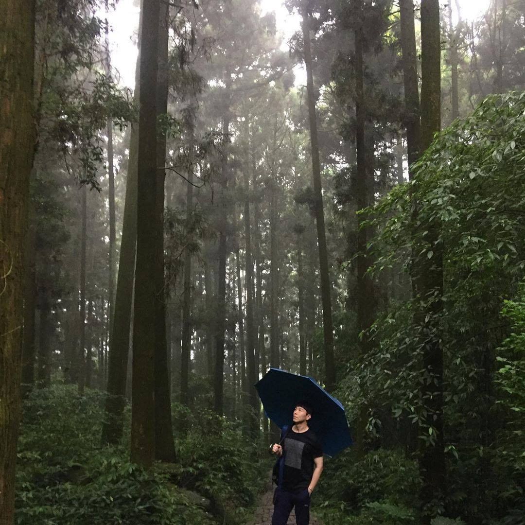 雨天撐者傘來奮起湖步道☂朦朧朦朧的美❤-⠀⠀⠀⠀⠀⠀⠀⠀⠀⠀⠀感謝 @chang_murphy 分享的美照-⠀⠀⠀⠀⠀⠀⠀⠀⠀⠀⠀...