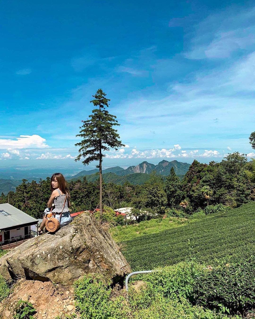 藍天綠茶好心情來阿里山龍雲農場，躺在大自然的懷抱中-⠀⠀⠀⠀⠀⠀⠀⠀⠀⠀⠀感謝 @_jube_211214  分享的美照-⠀⠀⠀⠀...