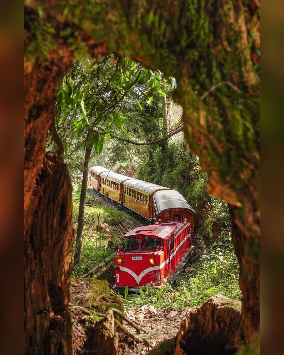 看到照片跟攝影師說「好像玩具喔~~~」這是貨真價實的阿里山小火車啦這就是拍攝角度有趣的地方照片授權感謝 @shun___0707-...