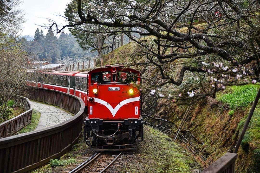 阿里山小火車經典的紅色不須調色就別有一番風味呢❤-⠀⠀⠀⠀⠀⠀⠀⠀⠀⠀⠀感謝 @ir.v.ibes  分享的美照-⠀⠀⠀⠀⠀⠀⠀⠀...