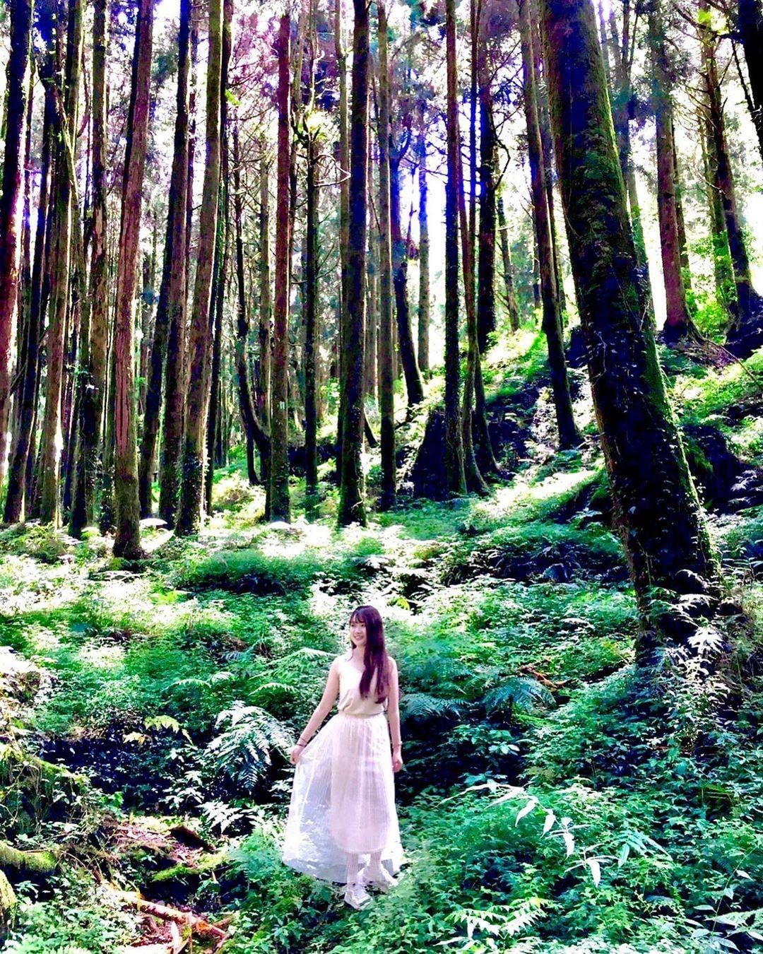 阿里山仙子+森林美景在這裡待一整天都不覺得膩-⠀⠀⠀⠀⠀⠀⠀⠀⠀⠀⠀感謝 @venus10358 分享的美照-⠀⠀⠀⠀⠀⠀⠀⠀⠀⠀...