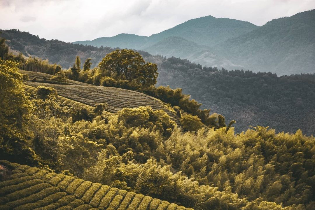 lalauya｜樂野一腳踏進部落，你發現了嗎？跟你說這裡有什麼，就會有概念福山古道迷糊步道雅吾瑪斯步道金皮雕工作室不插電咖啡體驗照...