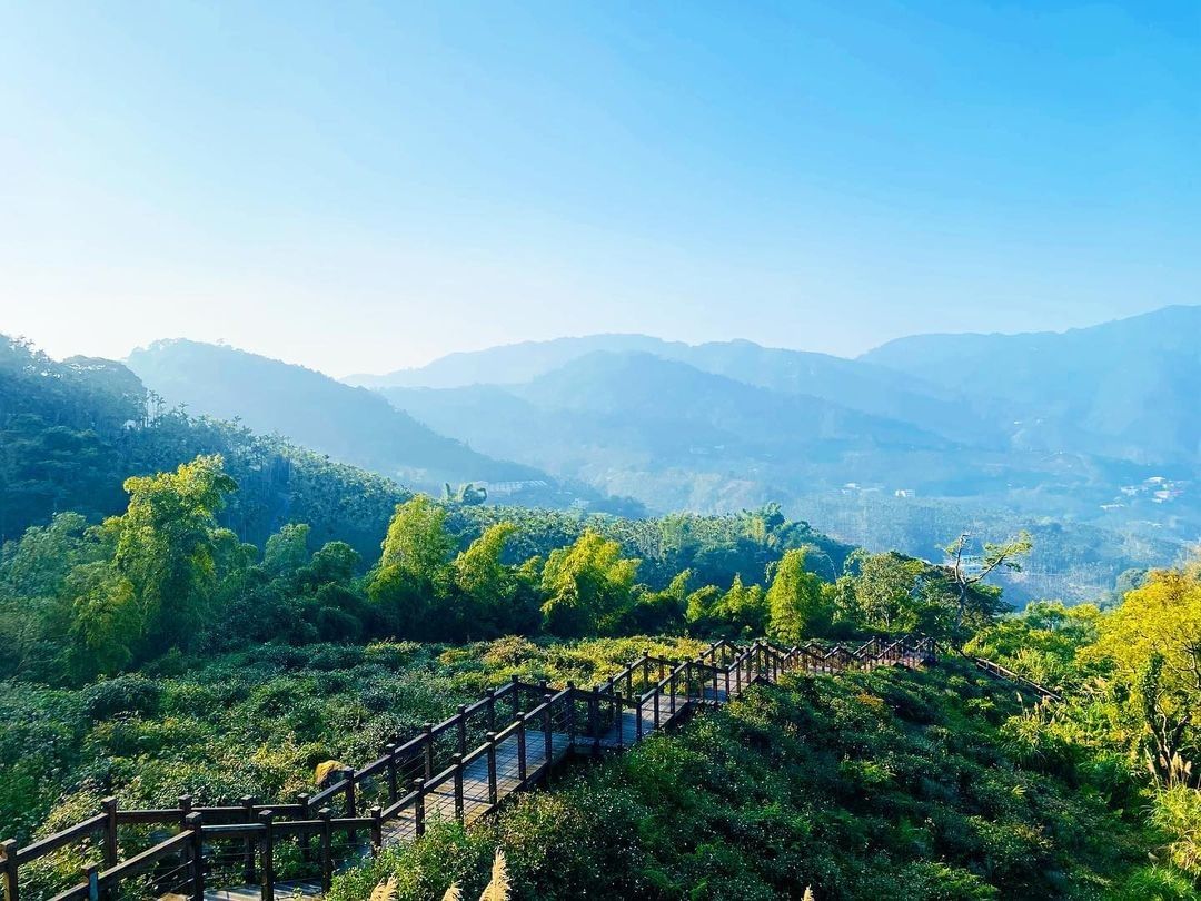 輕輕鬆鬆走完一趟美麗的步道眺望綿延山巒夏天來了上山避暑照片授權感謝 @elaine.yuna -⠀歡迎在您的貼文 #travela...