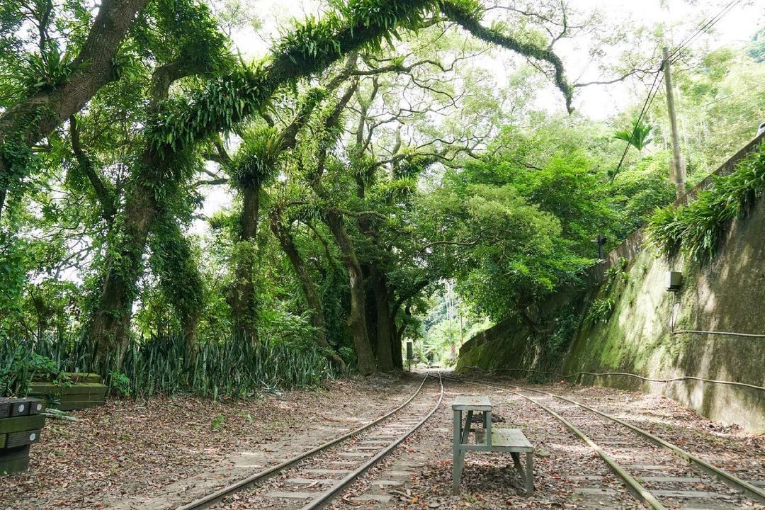 獨立山步道，去一次就會愛上❤️沐浴在森林裡，沿著鐵道行走來跟小火車來一場不期而遇吧照片授權感謝 @fuchunph -⠀歡迎在您的...