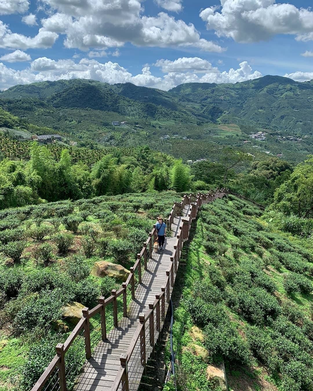 晴空萬里的太興岩步道走起路來心情都豁然開朗了-大家有找到柴柴嗎-⠀⠀⠀⠀⠀⠀⠀⠀⠀⠀⠀感謝 @caibao20191015  分享...
