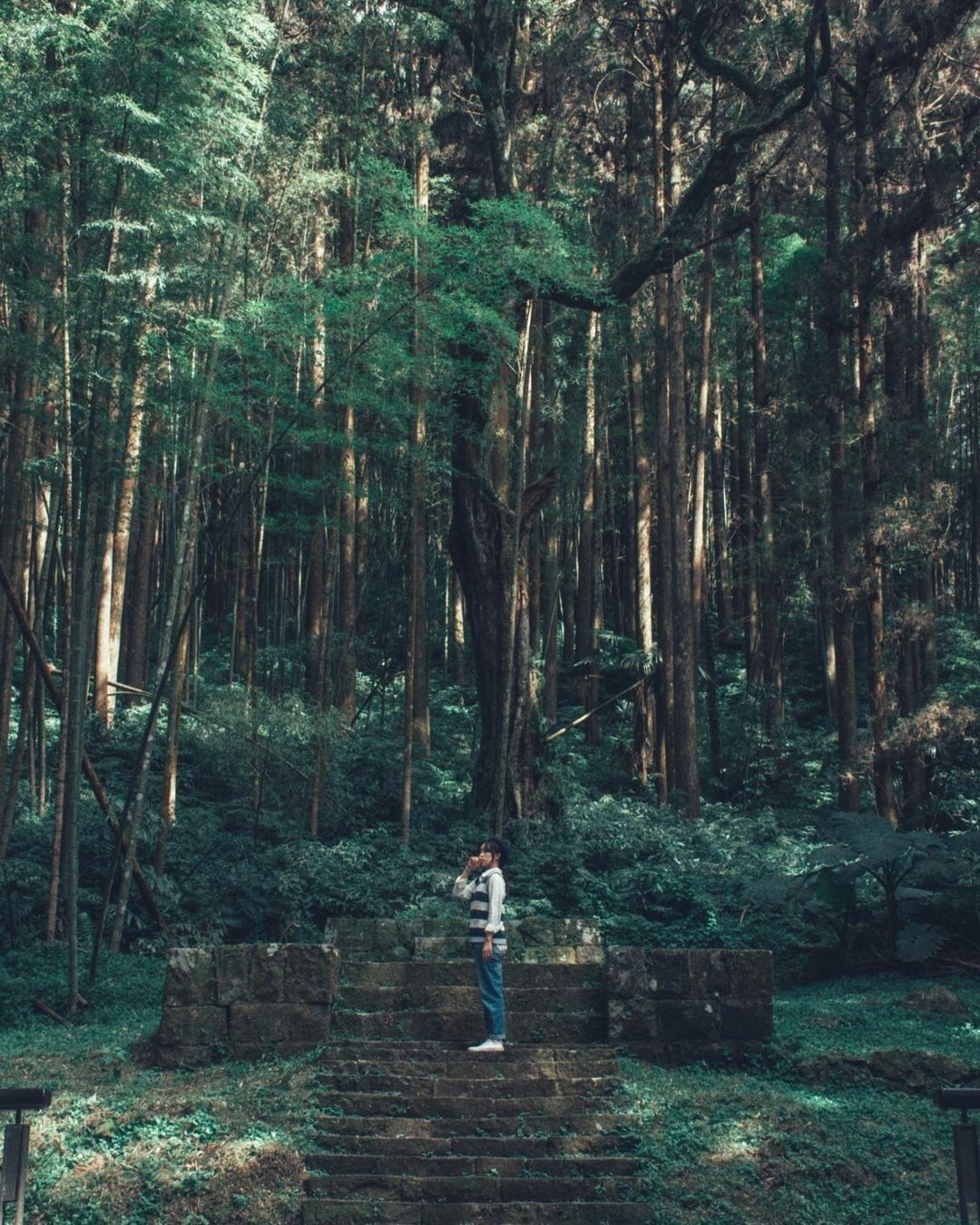 大家到奮起湖，知道有個神社遺址嗎？建築物早已不在，但站在這塊土地，能感受到靜謐。照片授權感謝 @ccl_jay -⠀歡迎在您的貼文...