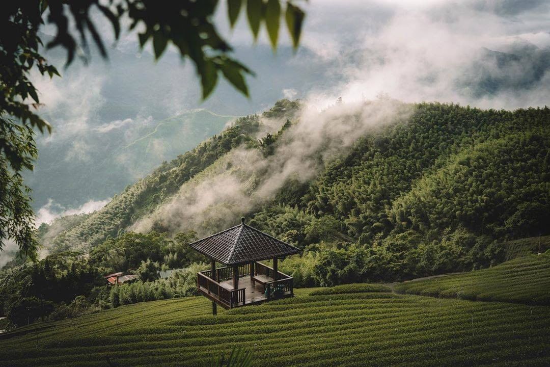 來到阿里山就是要欣賞雲霧繚繞在山頭的美景-⠀⠀⠀⠀⠀⠀⠀⠀⠀⠀⠀感謝 @lll.lizard  分享的美照-⠀⠀⠀⠀⠀⠀⠀⠀⠀⠀⠀...