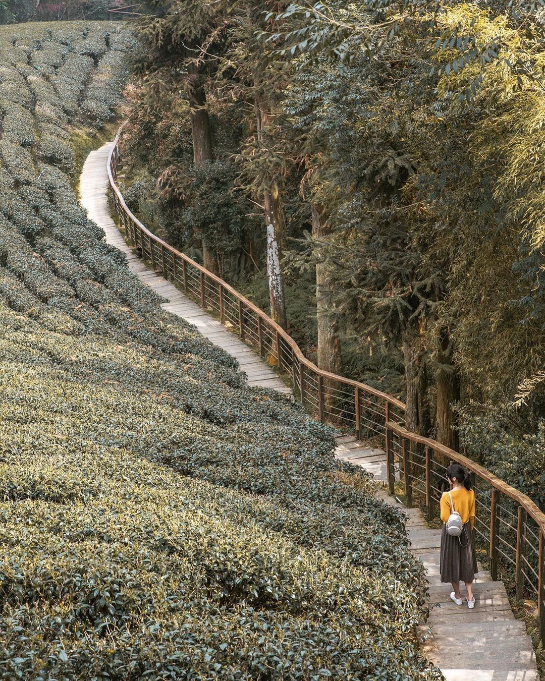 周末的天氣還不錯大家有到哪裡走走嗎照片授權感謝 @yuni_tung -⠀歡迎在您的貼文 #travelalishan 或 @tr...