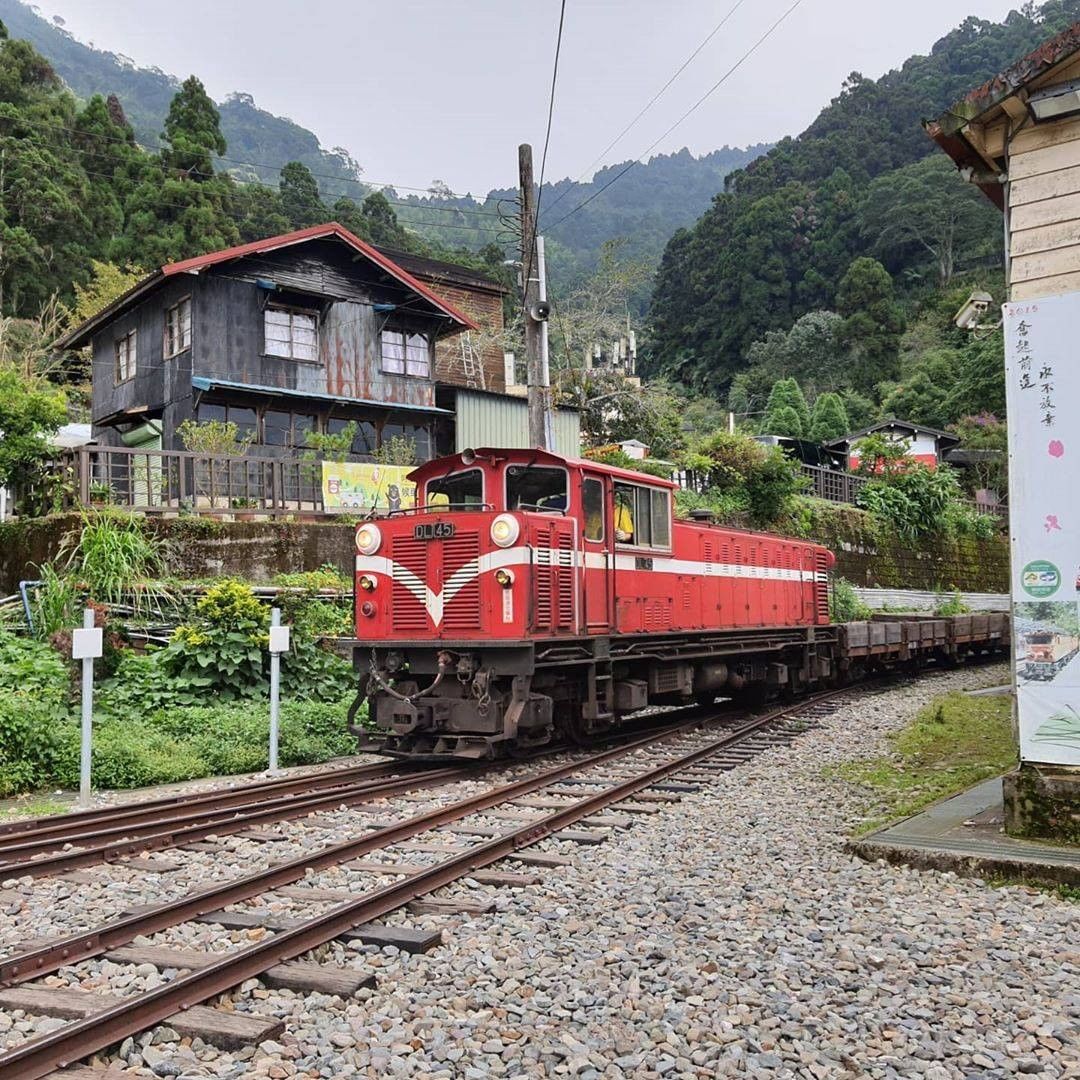 這個場景的阿里山小火車好像宮崎駿動畫裡的景象好有復古夢幻的氣氛❤️-⠀⠀⠀⠀⠀⠀⠀⠀⠀⠀⠀感謝 @paggychen45  分享的...