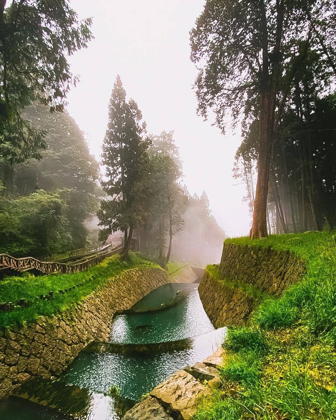 薄霧瀰漫與枝繁葉茂的大樹交織成夢幻仙境涼爽的天氣最適合在步道上漫步了-⠀⠀⠀⠀⠀⠀⠀⠀⠀⠀⠀感謝 @s_0115  分享的美照-⠀...