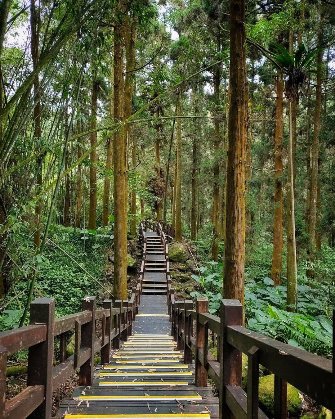 累的時候看一下阿里山美照深呼吸，休息一下再繼續努力吧-⠀⠀⠀⠀⠀⠀⠀⠀⠀⠀⠀感謝 @keke_lyc 分享的美照-⠀⠀⠀⠀⠀⠀⠀⠀...