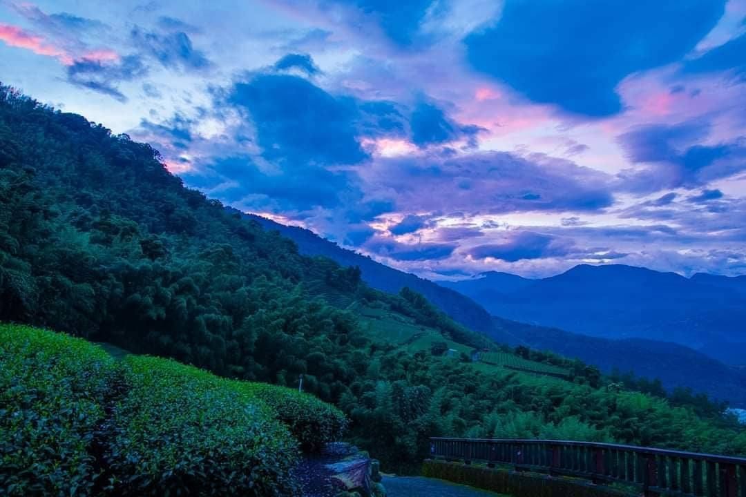 早晨的石棹茶園陽光還沒完全露臉粉紅、藍色及紫色交織成的天空還有墨綠色的茶園也別有風情呢-⠀⠀⠀⠀⠀⠀⠀⠀⠀⠀感謝 @sina118...