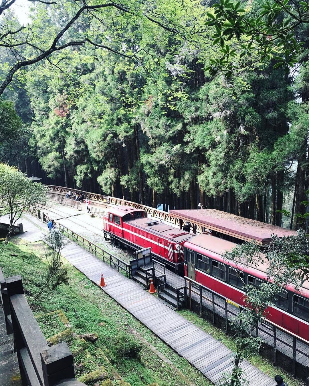 從不同角度看阿里山小火車有不一樣的心境感受-⠀⠀⠀⠀⠀⠀⠀⠀⠀⠀⠀感謝 @annyzzztravel  分享的美照-⠀⠀⠀⠀⠀⠀⠀...