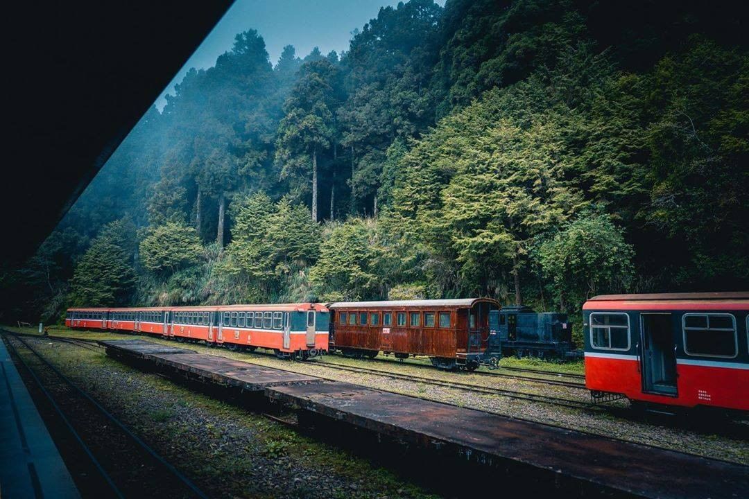 深綠樹木前面鮮豔的小火車是不是很像畫裡的風景呢-⠀⠀⠀⠀⠀⠀⠀⠀⠀⠀⠀感謝 @friedrich_foto  分享的美照-⠀⠀⠀⠀...