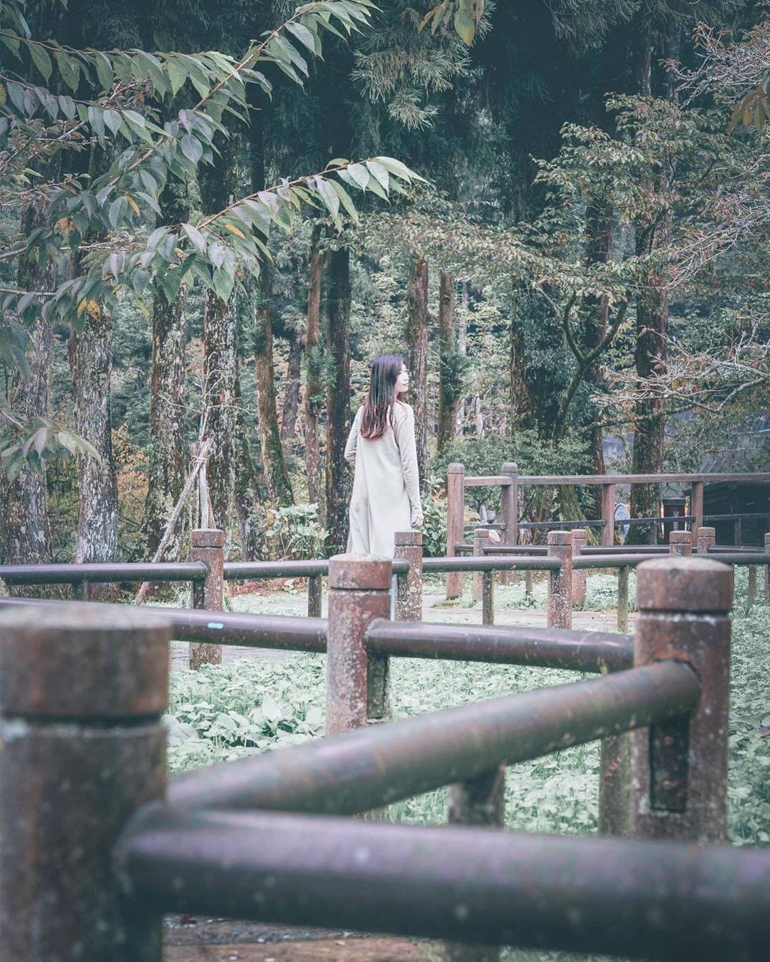 阿里山總有種神秘、浪漫的感覺每張照片都好像在拍劇照喔-⠀⠀⠀⠀⠀⠀⠀⠀⠀⠀⠀感謝 @lily_love_photo  分享的美照-...