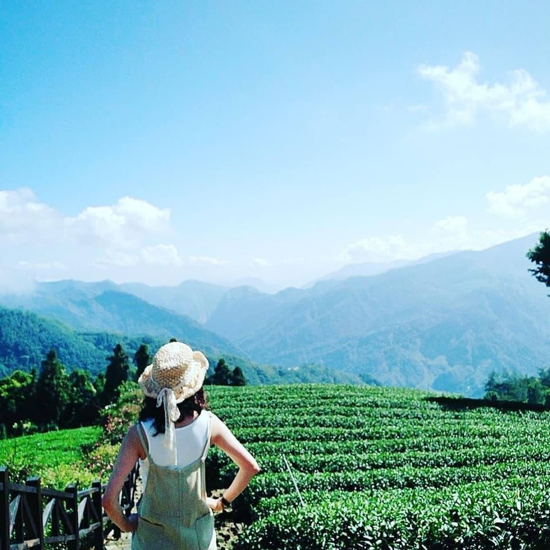 用茶園來迎接周末吧！假日來趟阿里山溜搭放鬆心情，洗滌疲累-⠀⠀⠀⠀⠀⠀⠀⠀⠀⠀⠀感謝 @nien_sine 分享的美照-⠀⠀⠀⠀⠀...