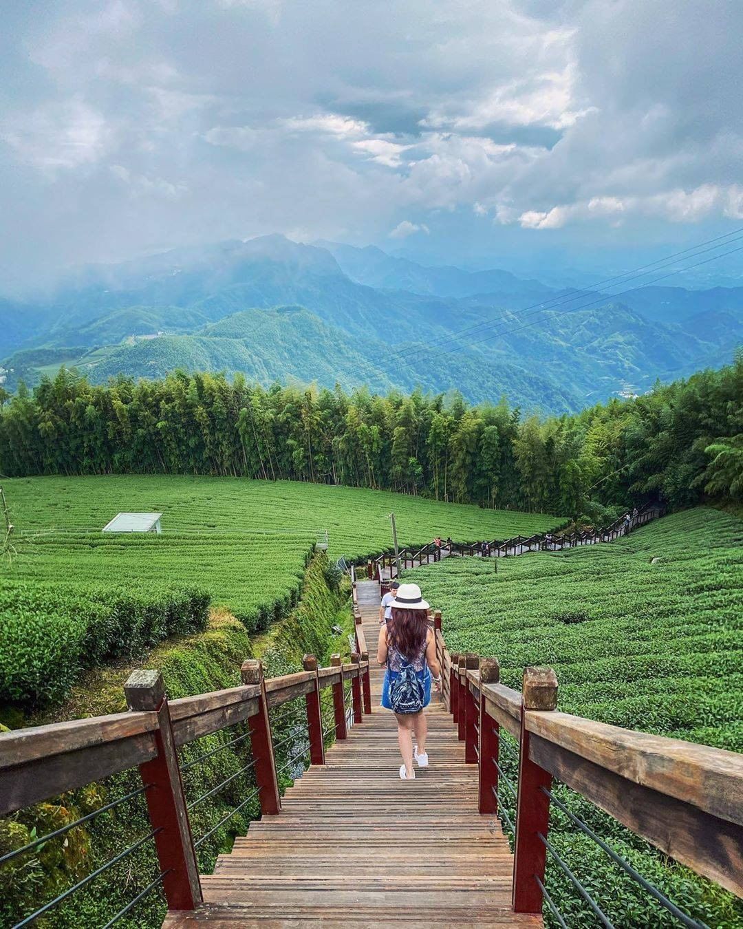 被綠油油茶園跟群山包圍的石棹霞之道令人豁然開朗，任何煩惱都可以拋開的！-⠀⠀⠀⠀⠀⠀⠀⠀⠀⠀⠀感謝 @gc0414 分享的美照-⠀...