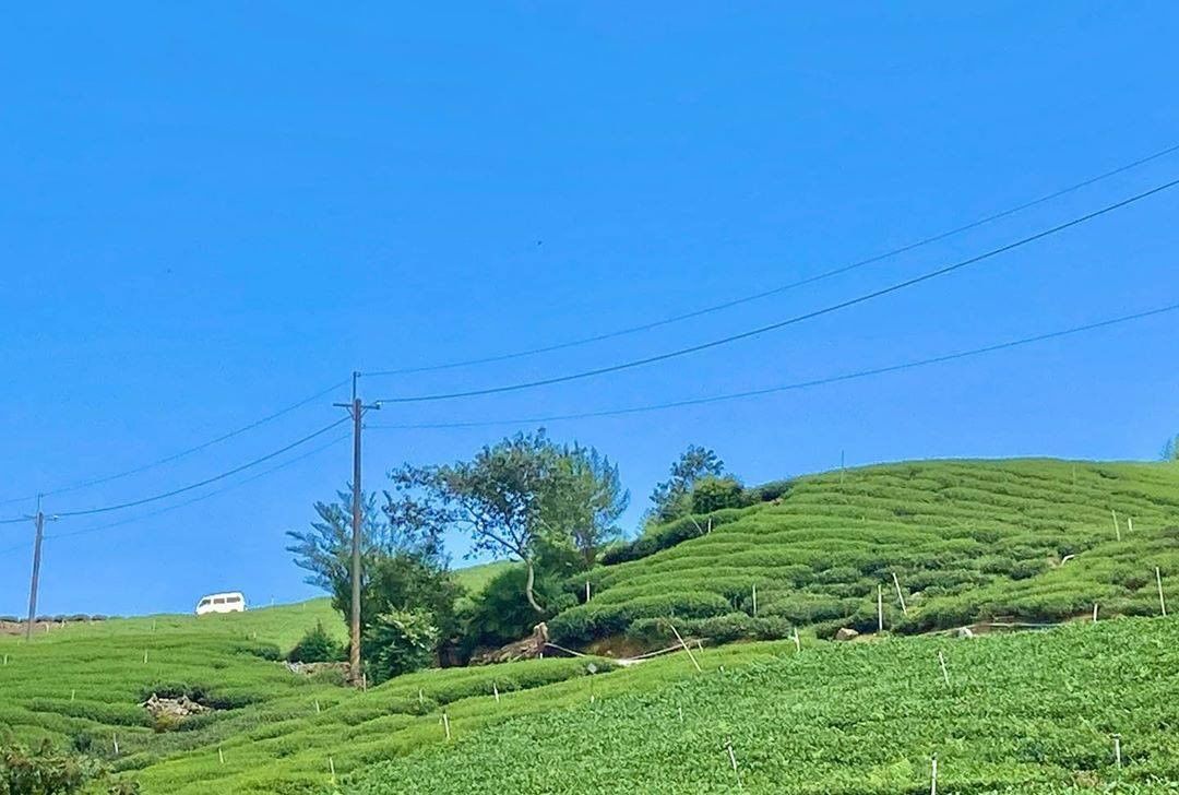 大家有發現那台白色ㄅㄨㄅㄨ嗎-藍天綠茶+白車真是太可愛了像是宮崎駿動畫裡會出現的畫面-⠀⠀⠀⠀⠀⠀⠀⠀⠀⠀⠀感謝 @bflores...