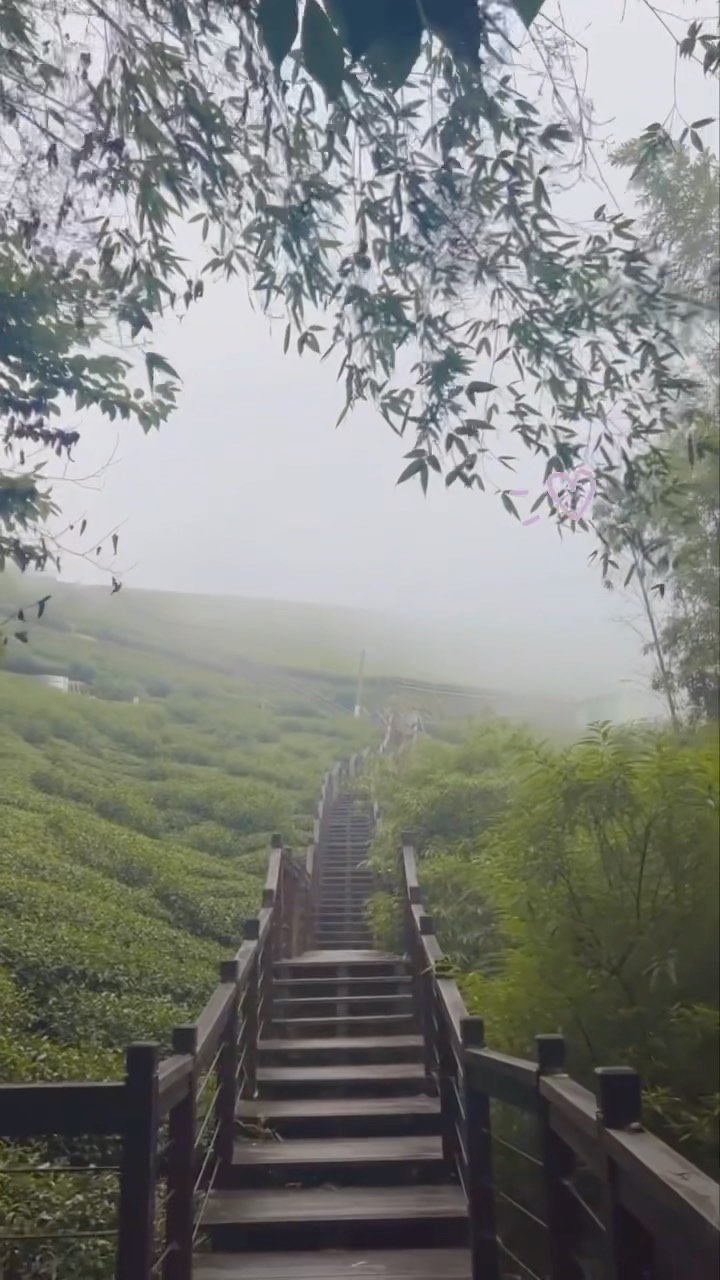 別人拍的霞之道是一層層景致的堆疊，今天去的霞之道是雲霧繚繞仙氣飄飄。這樣的，也好美。對嗎～-⠀歡迎在您的貼文 #travelali...