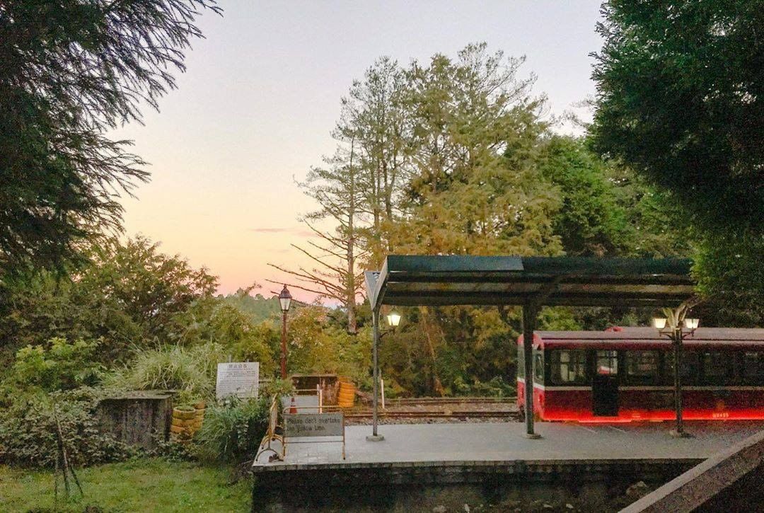 林間小火車＋淡橘色的朝陽☀真是可愛的畫面！-⠀⠀⠀⠀⠀⠀⠀⠀⠀⠀⠀感謝 @a.niceday___　分享的美照-⠀⠀⠀⠀⠀⠀⠀⠀⠀...