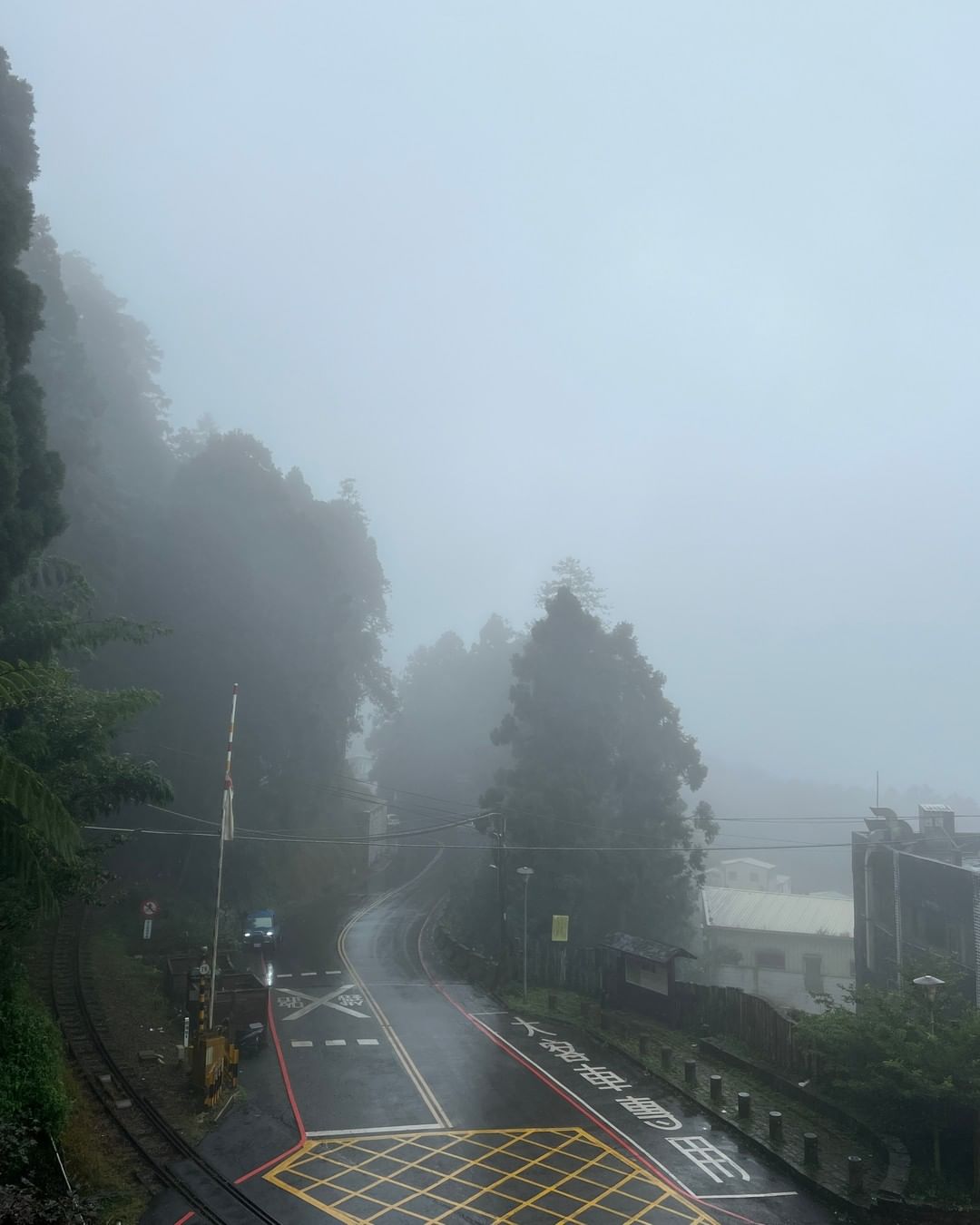 下雨天的朦朧美-⠀歡迎在您的貼文 #travelalishan 或 @travelalishan曬曬阿里山有多美，有機會在官方IG...