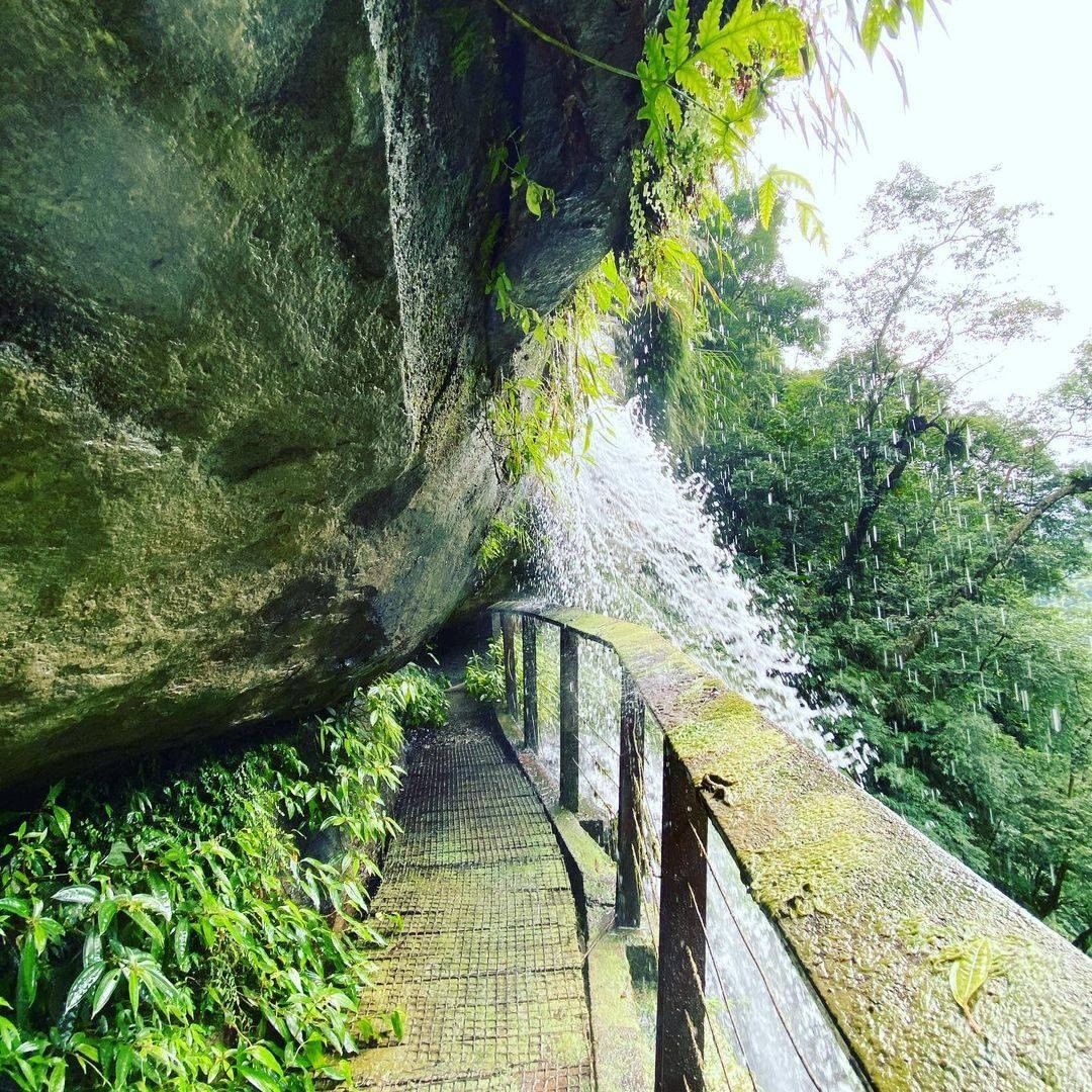 雖然今天編編在的城市下雨但看到龍宮瀑布還是好想觸摸冰涼的瀑布、清涼一下！-⠀⠀⠀⠀⠀⠀⠀⠀⠀⠀⠀感謝 @annayen1986  ...