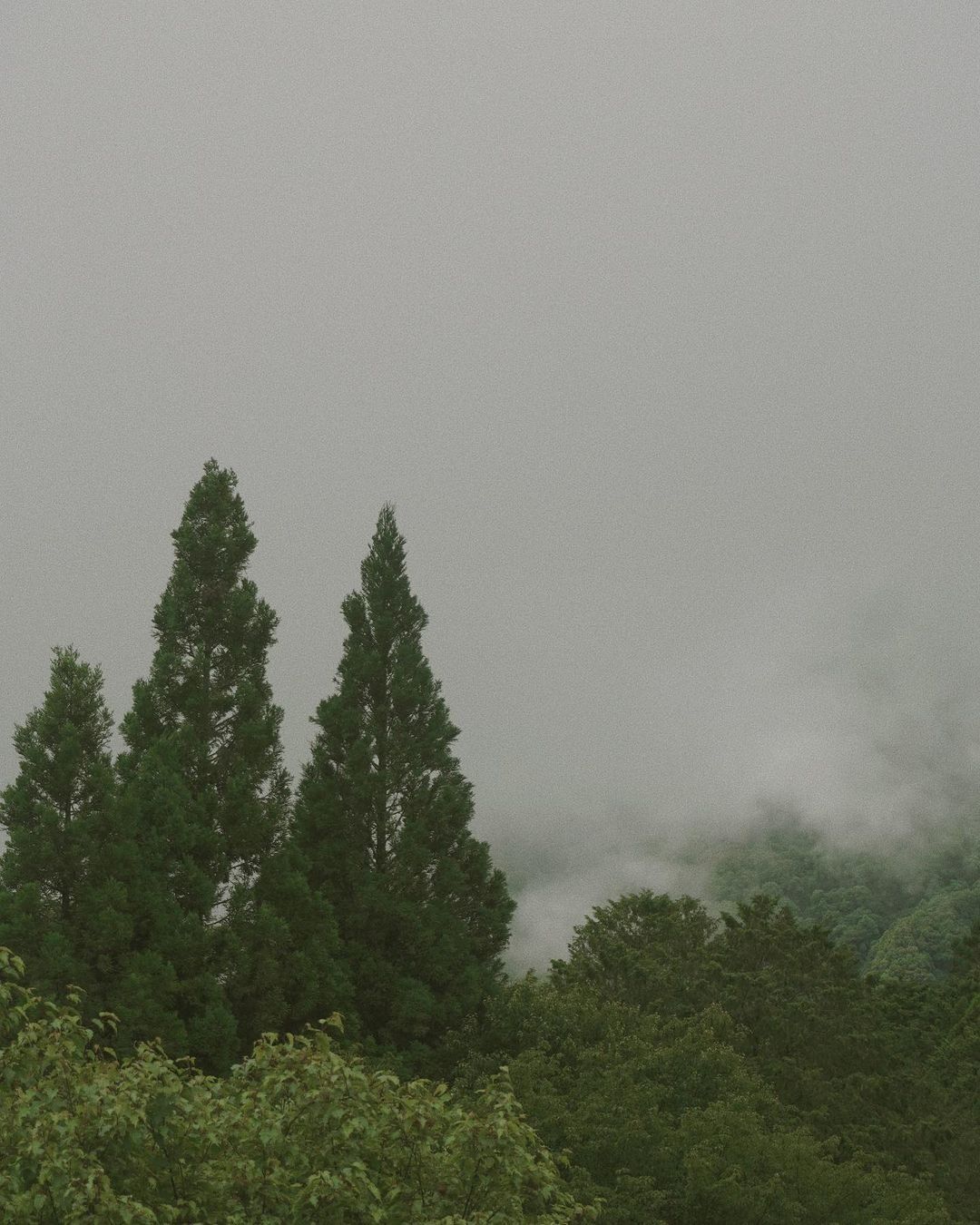明明是靜態照片卻有種雲霧在飄的錯覺照片授權 @simbalablue -⠀歡迎在您的貼文 #travelalishan 或 @tr...