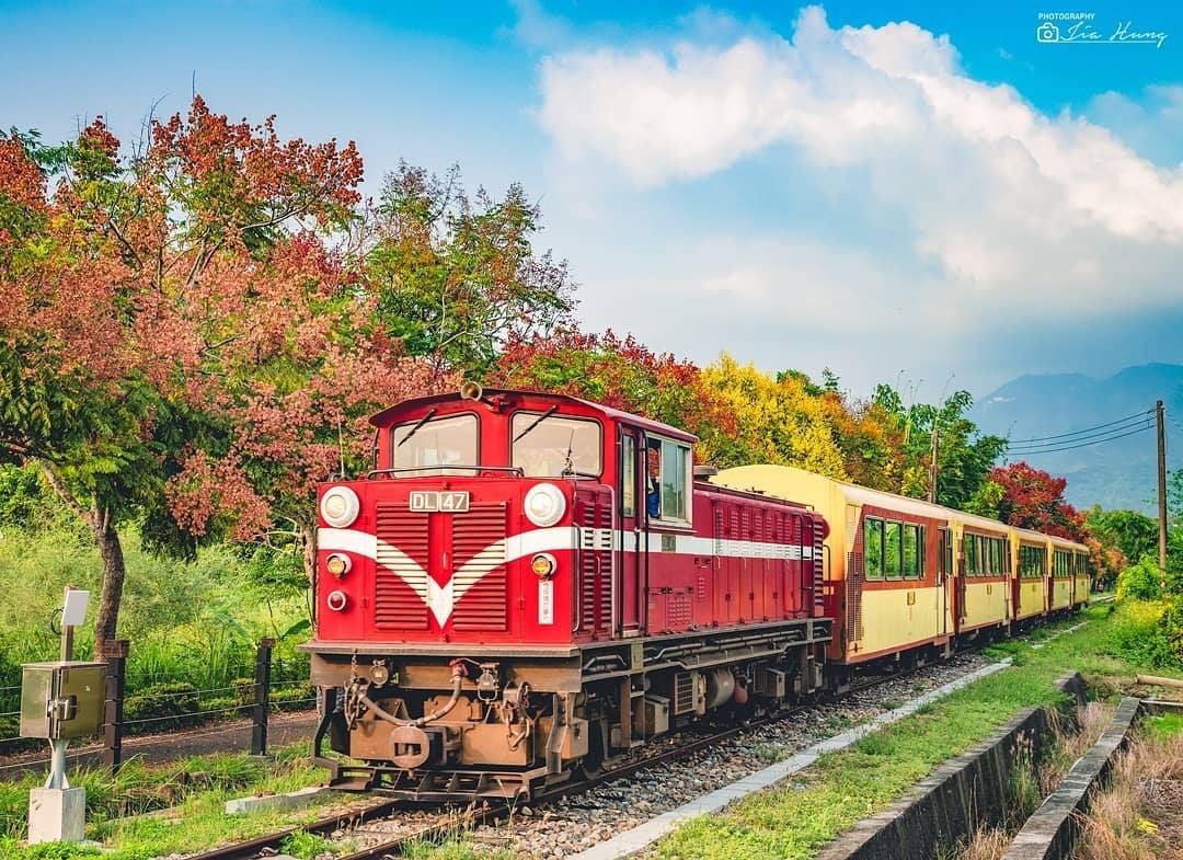 最喜歡看紅色小火車了！行駛於紅色、綠色、黃色的葉子間真是賞心悅目❤️-⠀⠀⠀⠀⠀⠀⠀⠀⠀⠀⠀感謝 @mart666777 分享的美...