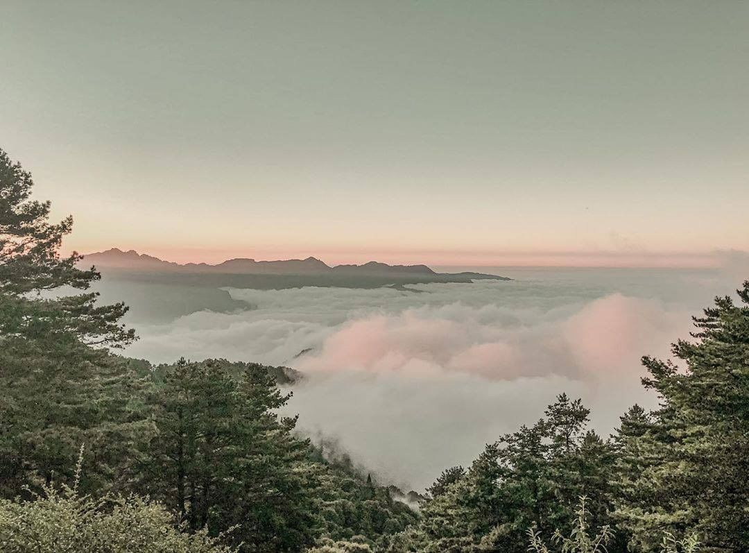 滿山的雲海好希望能有一對翅膀就可以逍遙在天空、雲海間☁-⠀⠀⠀⠀⠀⠀⠀⠀⠀⠀⠀感謝 @aski741  分享的美照-⠀⠀⠀⠀⠀⠀⠀...