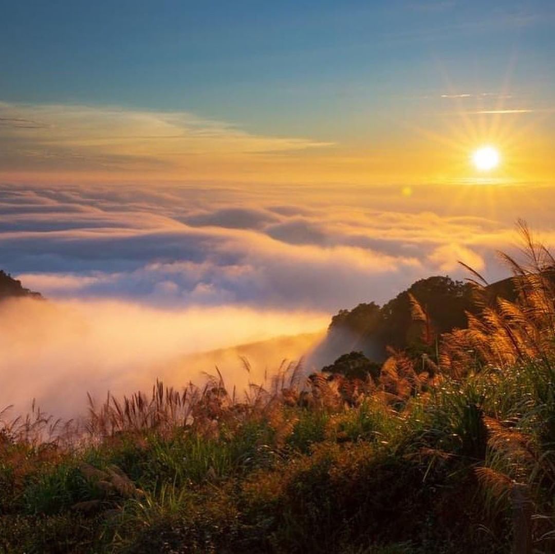 阿里山的夕陽與雲海最迷人☀☁看著看著身心靈都暖了！-⠀⠀⠀⠀⠀⠀⠀⠀⠀⠀⠀感謝 @jcmv0078 分享的美照-⠀⠀⠀⠀⠀⠀⠀⠀⠀...