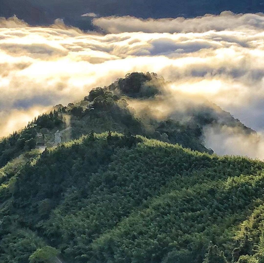 根本是宮崎駿動畫大片會出現的場景呀！墨綠山頭加上陽光灑落在雲上⛰⛅多麼奇幻的景致！-⠀⠀⠀⠀⠀⠀⠀⠀⠀⠀⠀感謝 @q6162009...