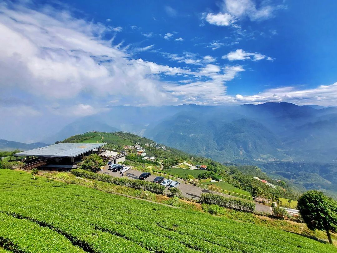 很好認出來這是哪裡的視野，對吧~除了茶園景觀與山景，知道這裡也可以看日出嗎？阿里山看日出點位攻略碧湖觀景台瑞峰1314觀景台太和大...