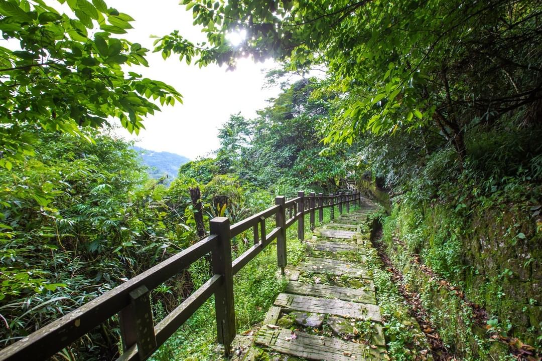 在竹坑溪步道享受被翠綠景致包圍的氣氛真是一大享受！-⠀⠀⠀⠀⠀⠀⠀⠀⠀⠀⠀⠀ #travelalishan 或 @travelal...