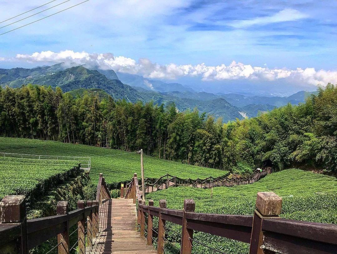 好清晰的步道景色感覺隔個螢幕就可以呼吸到阿里山空氣呢！-⠀⠀⠀⠀⠀⠀⠀⠀⠀⠀⠀感謝 @txe_eat.daily  分享的美照-⠀...