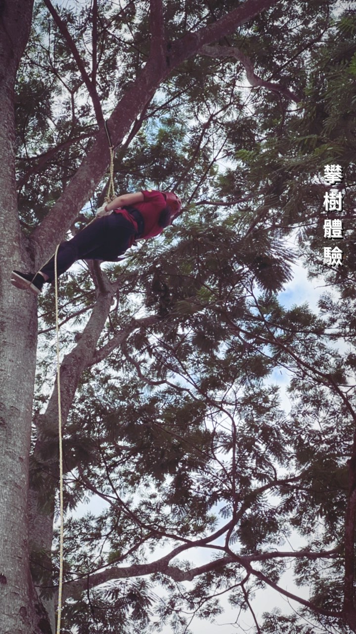 第一次接觸攀樹體驗，好有趣～攀樹體驗起源是為了安全的樹木作業而衍生。從安全解說、介紹使用的器材，透過教練解說認識樹木及生態，再來就...