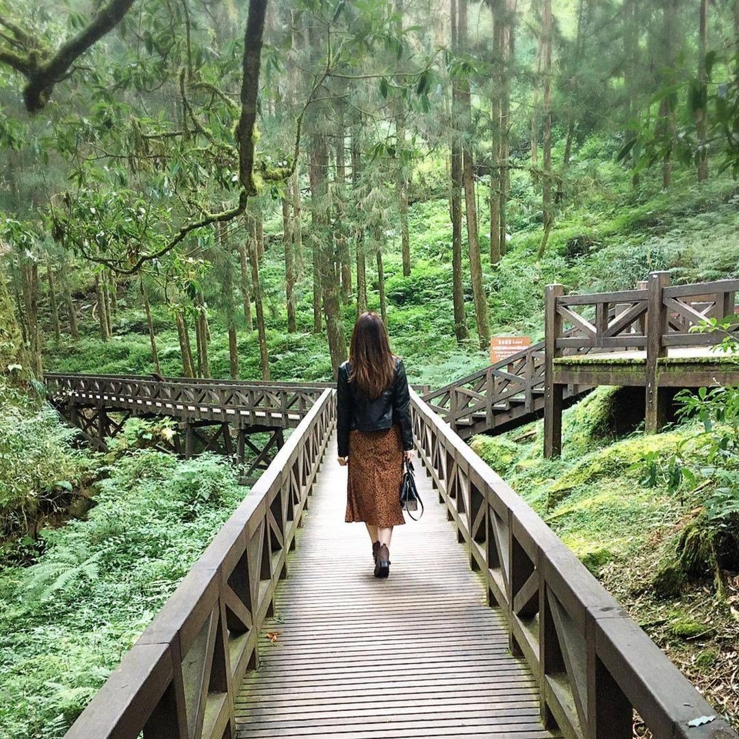 在阿里山遊樂森林漫步好像走進了迷幻森林每走一步就吸收了芬多精還可以靜靜地欣賞森林的美！-⠀⠀⠀⠀⠀⠀⠀⠀⠀⠀⠀感謝 @liz_li...