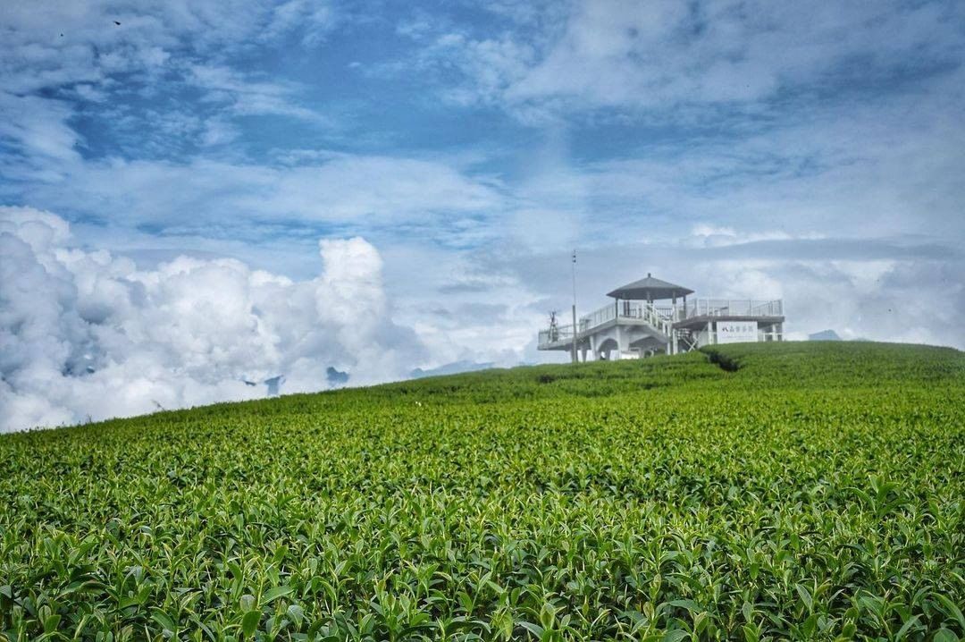 被翠綠茶園包圍的觀景台加上後方的天空、白雲好像電影般的場景呀！-⠀⠀⠀⠀⠀⠀⠀⠀⠀⠀⠀感謝 @mingchun0807  分享的美...